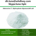 Chine CAS: 114702-55-5 ADP-K2 / Adénosine 5&#39;-Diphosphate Dipotassium Salt